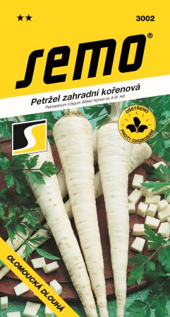 Petržlen kor. Olomoucky dlhý SEMO 3002 – jednoročka