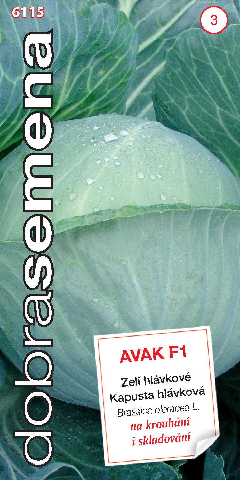 Kapusta Avak F1 poloneskorá DS 6115 – jednoročka