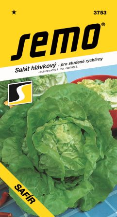 Šalát Safír na rých. SEMO 3753 – jednoročka