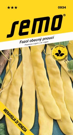 Fazuľa Meraviglia di venezia SEMO 0934 – jednoročka