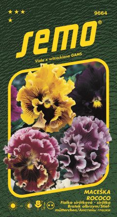 Sirôtka fialka Rococo zmes SEMO 9664 – jednoročka