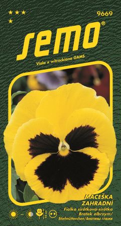 Sirôtka fialka žltá SEMO 9669 – jednoročka