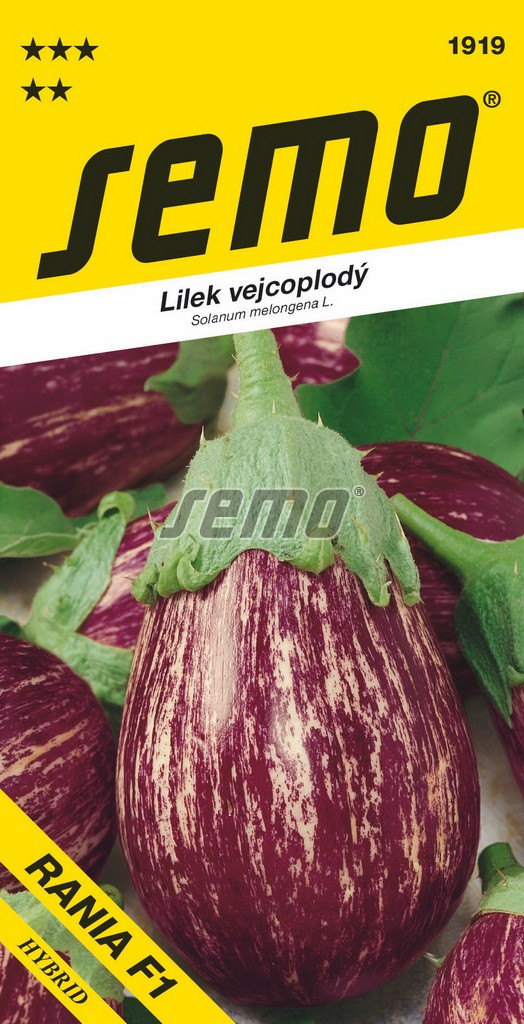 Baklažán Rania F1 SEMO 1919 – jednoročka