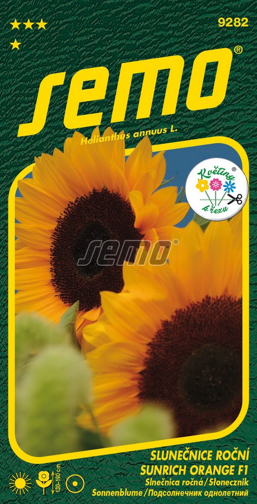 Slnečnica ročná Sunriche Orange SEMO 9282 – jednoročka
