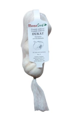 Cesnak Dukát 4ks zimný paličiak