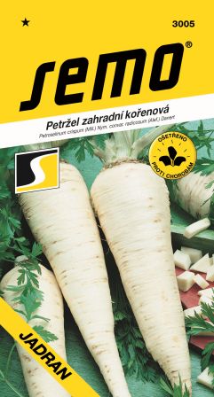 Petržlen kor. Jadran SEMO 3005 – jednoročka
