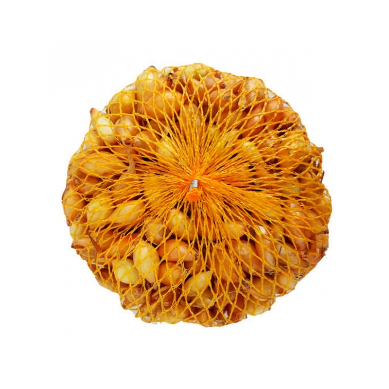 Cibuľa sadz. Všetana 0,5 kg 16-21 mm [40]