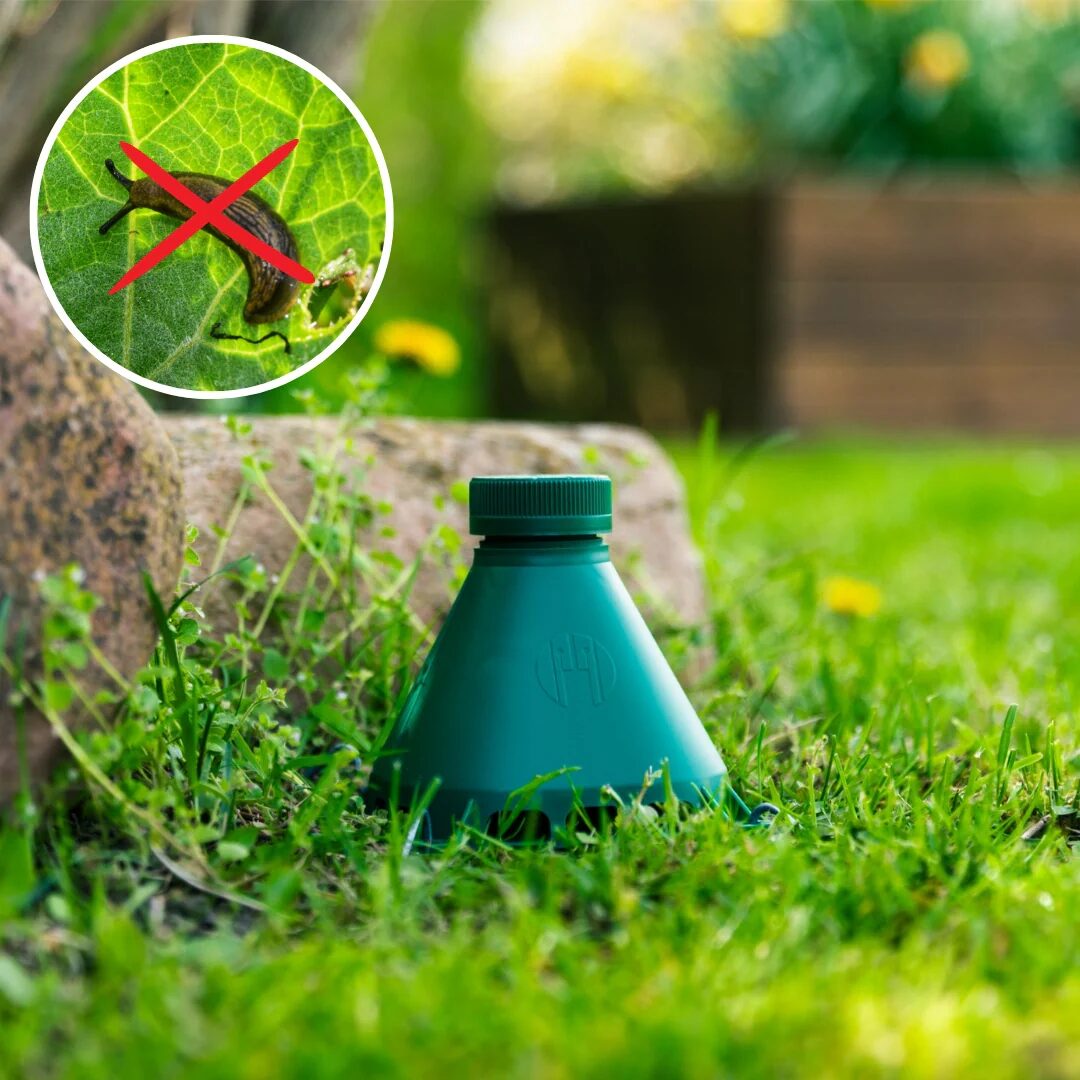 Ekologická pasca na slimáky do záhrady 2 ks