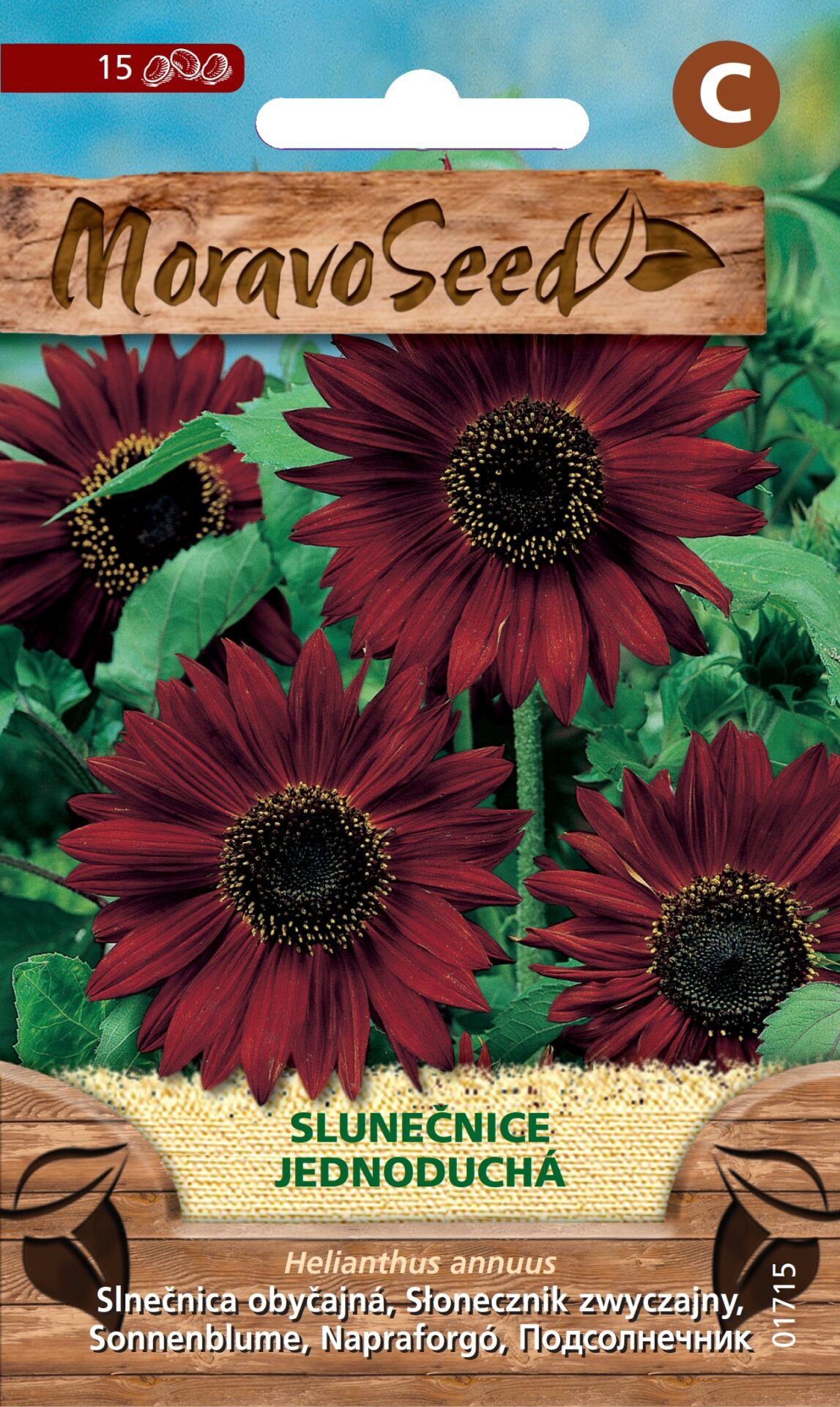 Helianthus annuus/Slnečnica/jednoduchá červená MS 1715
