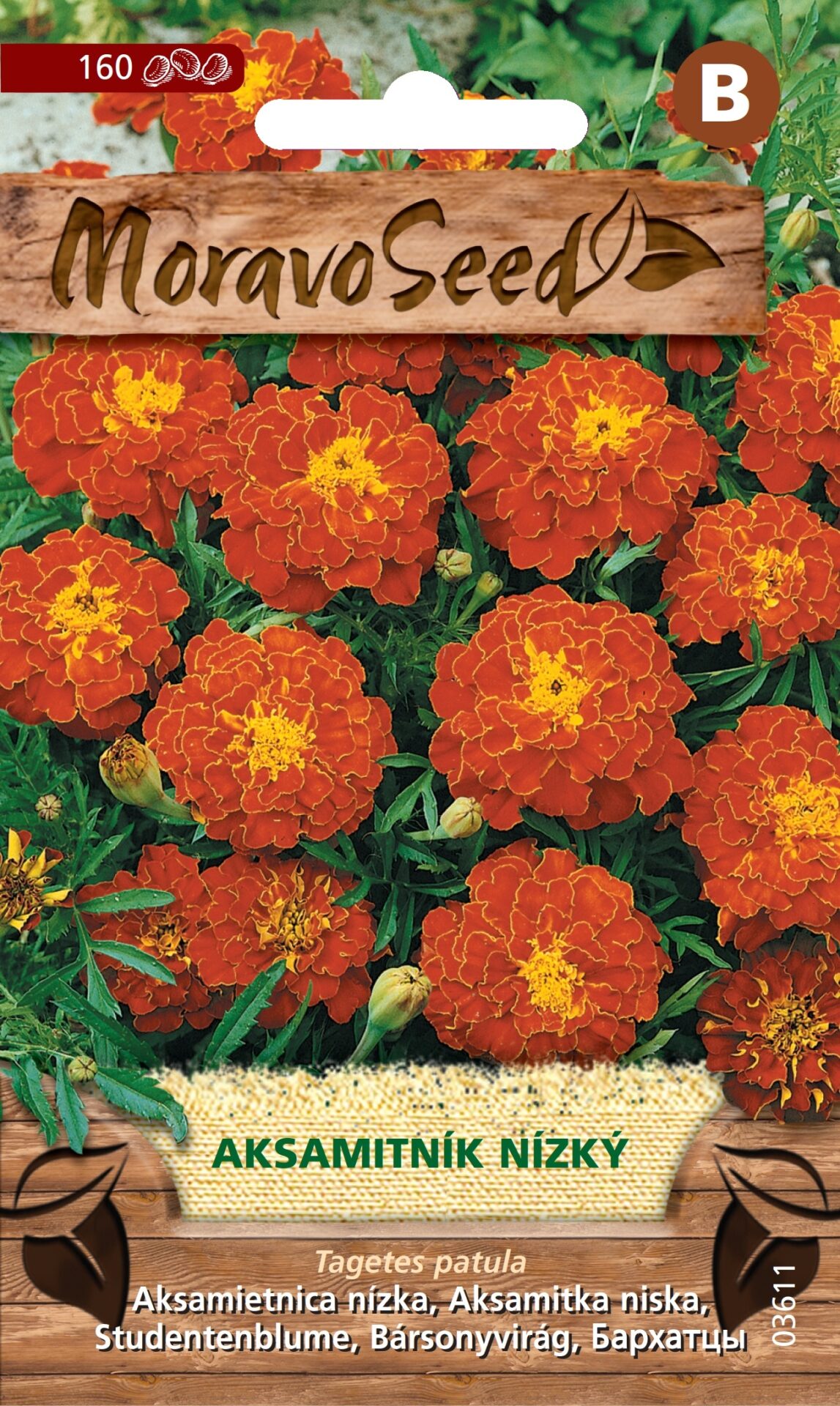 Tagetes patula/Aksamietnica/nízky pln. červenohnedý MS 3611