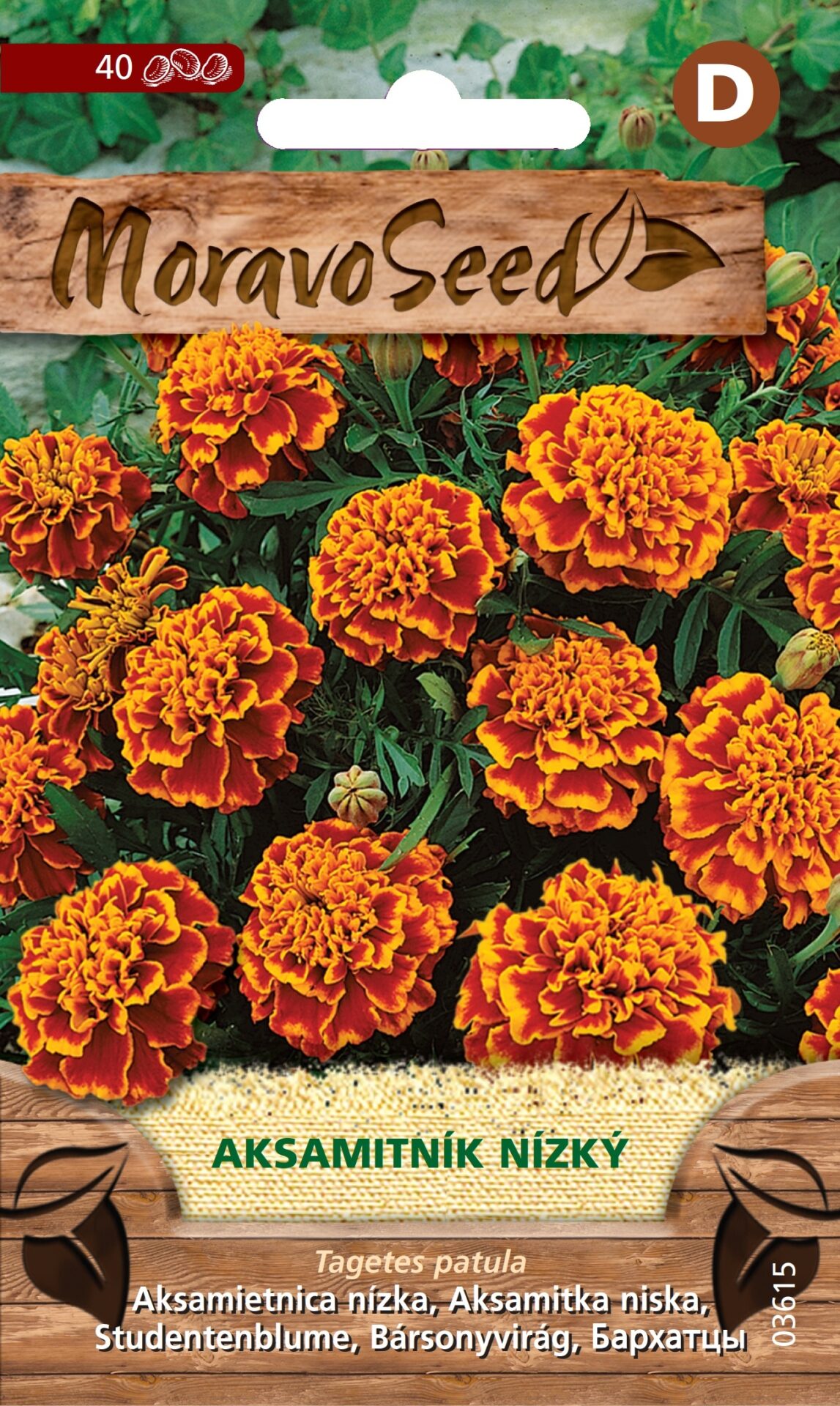 Tagetes patula/Aksamietnica/nízky pln. oranžovohnedý MS 3615
