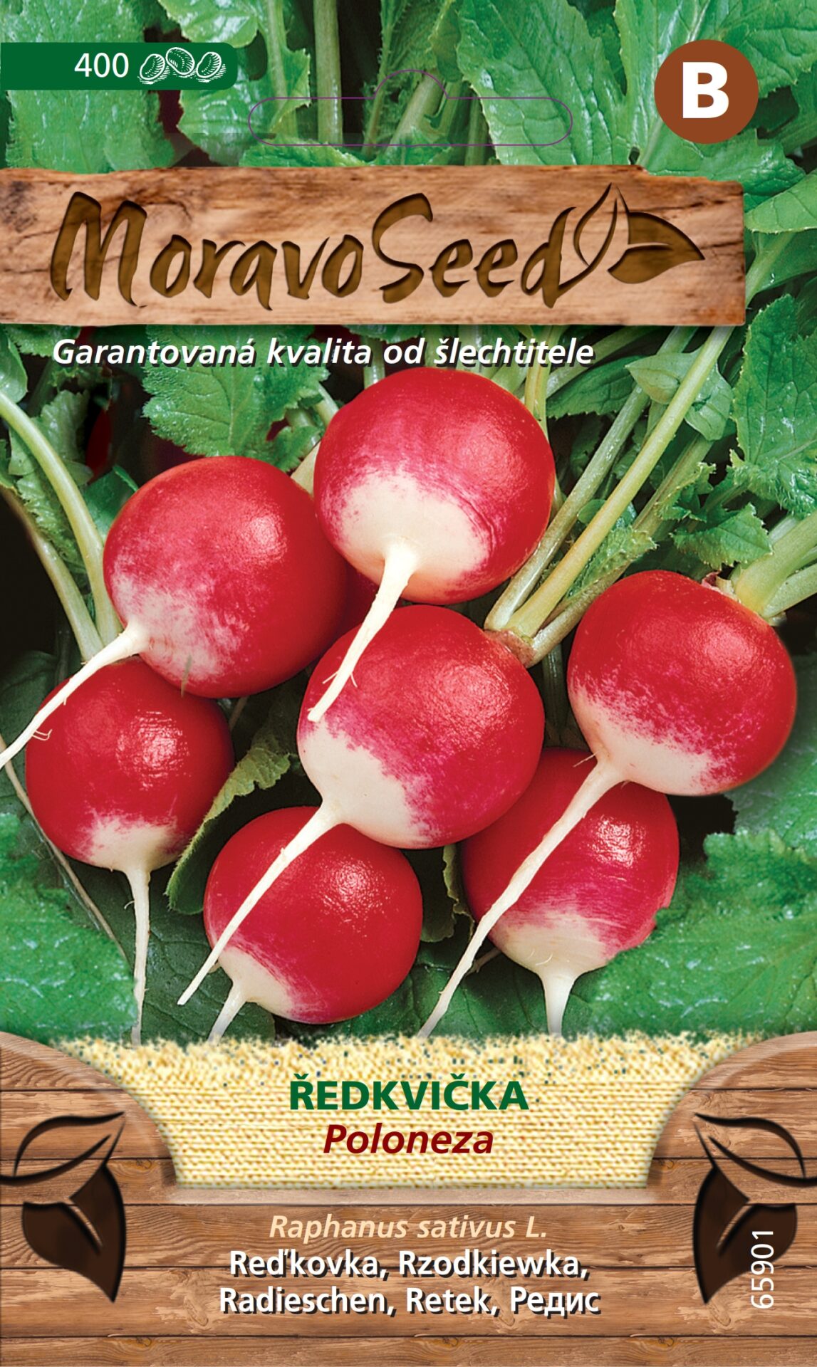 Reďkovka červeno-biela guľatá POLONEZA MS 65901