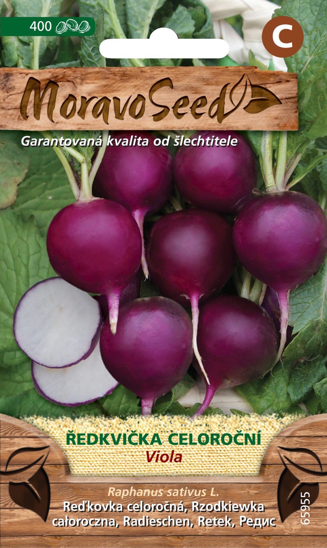 Reďkovka fialová guľatá VIOLA MS 65955