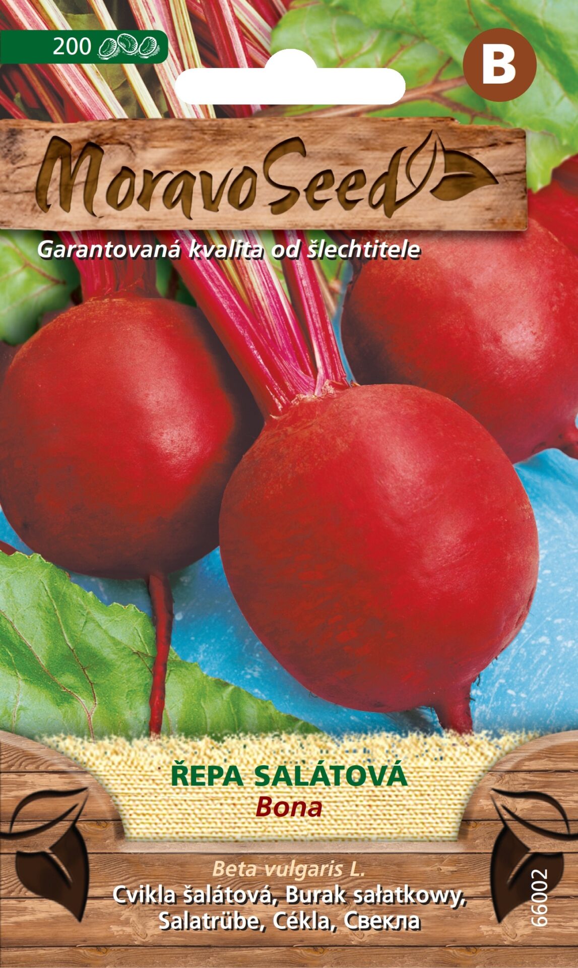 Řepa šalátová guľatá BONA MS 66002