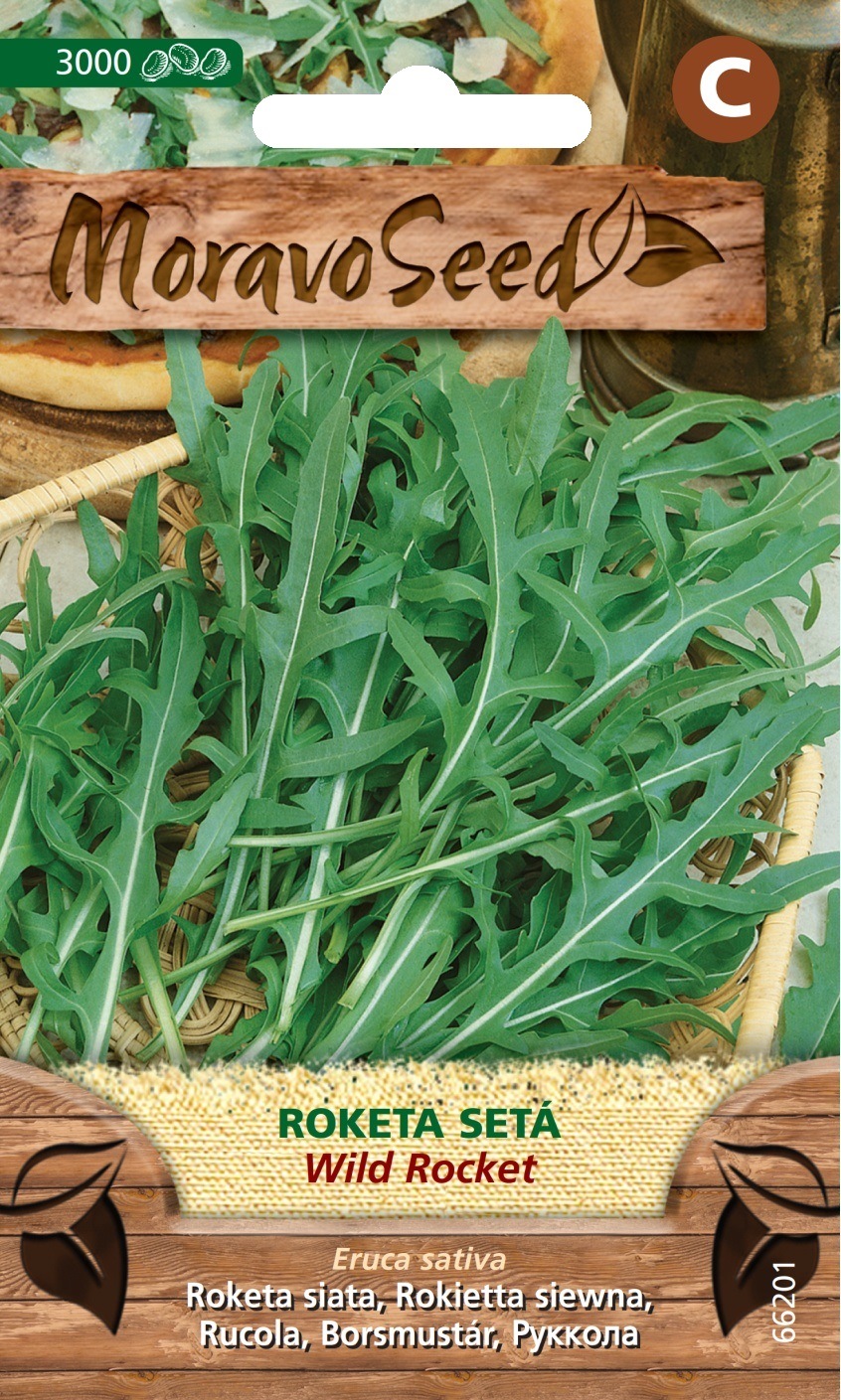 Rukola siata WILD ROCKET MS 66201