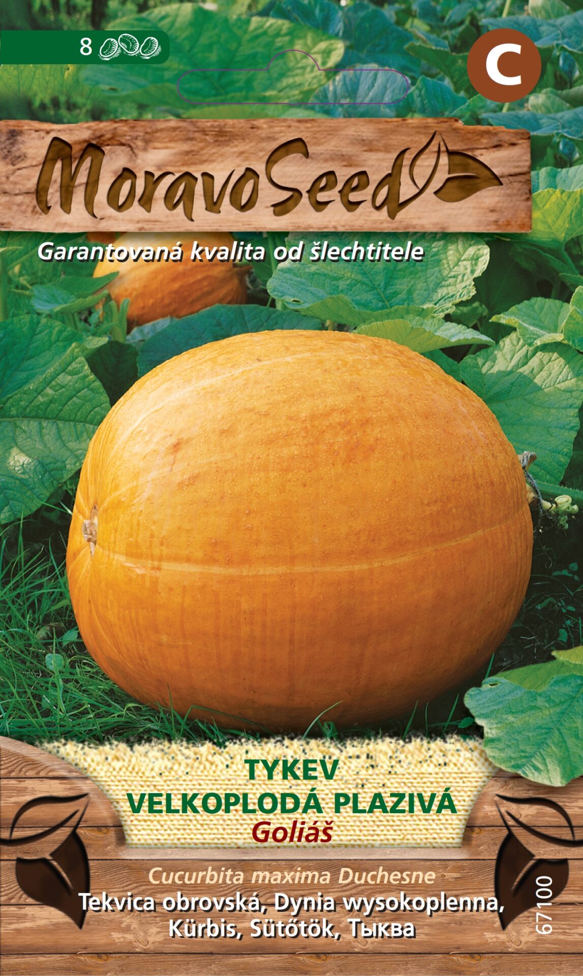 Tekvica veľkoplodá plazivá GOLIÁŠ MS 67100