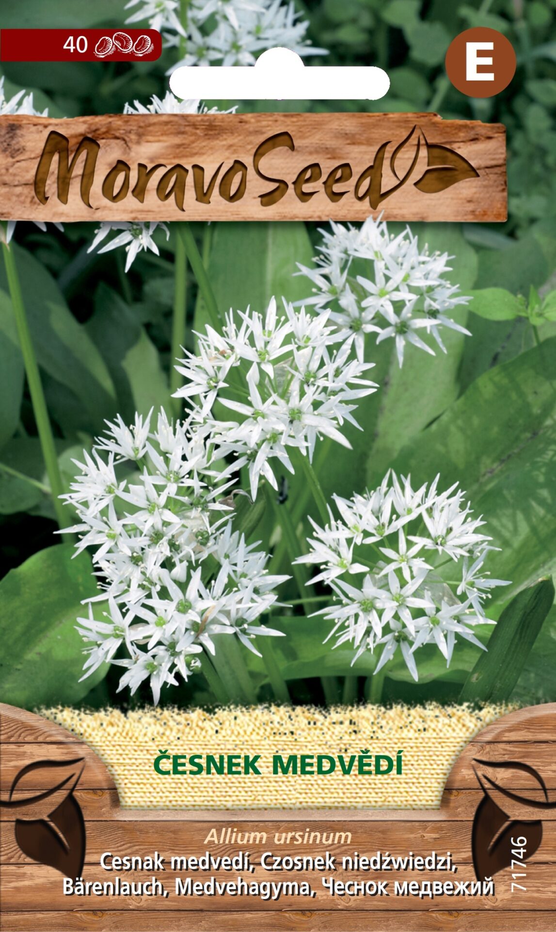 Cesnak medvedí MS 71746