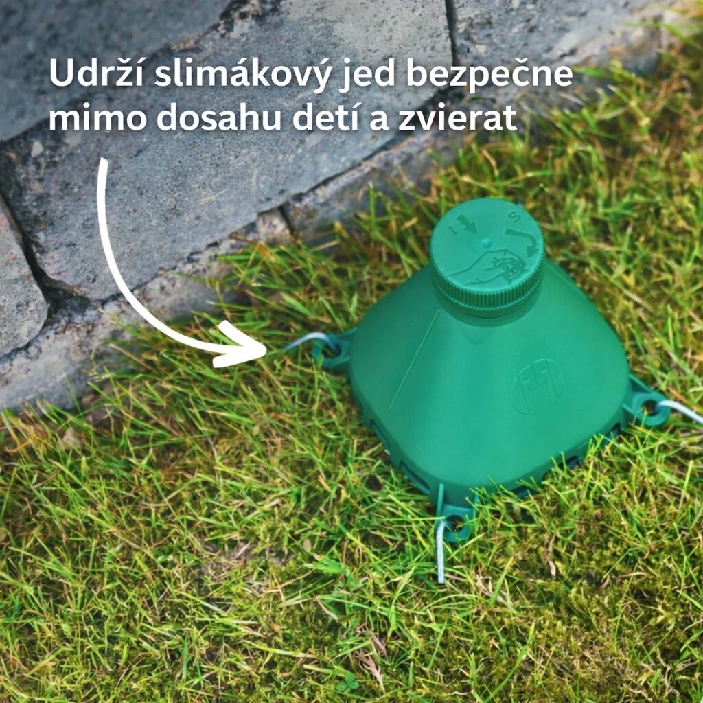 pasca-2.jpg