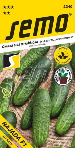Uhorky nakladačky Najada F1 H SEMO 2340 – jednoročka