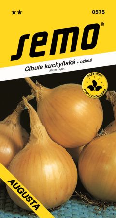 Cibuľa Augusta ozimná SEMO 0575 – jednoročka
