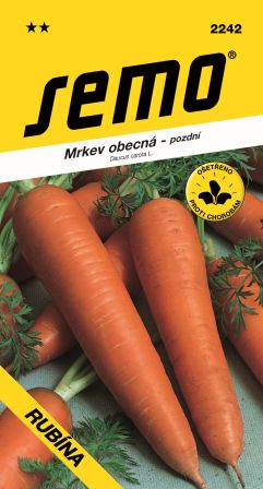 Mrkva Rubína ( Darina ) nesk. SEMO 2242 – jednoročka