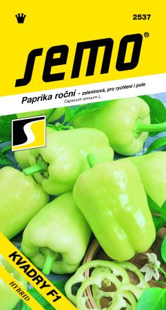 Paprika Kvadry F1 na rýchl. SEMO 2537 – jednoročka