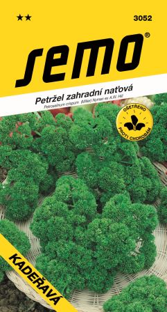 Petržlen vňať kučer. Kadeřava SEMO 3052 – jednoročka