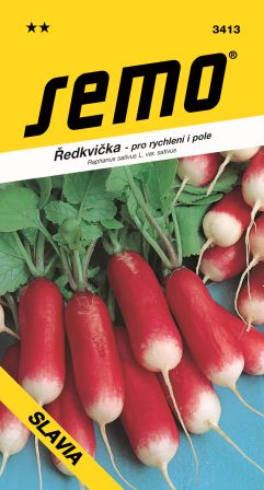 Reďkovka Slávia červenobiela podlh. SEMO 3413 – jednoročka