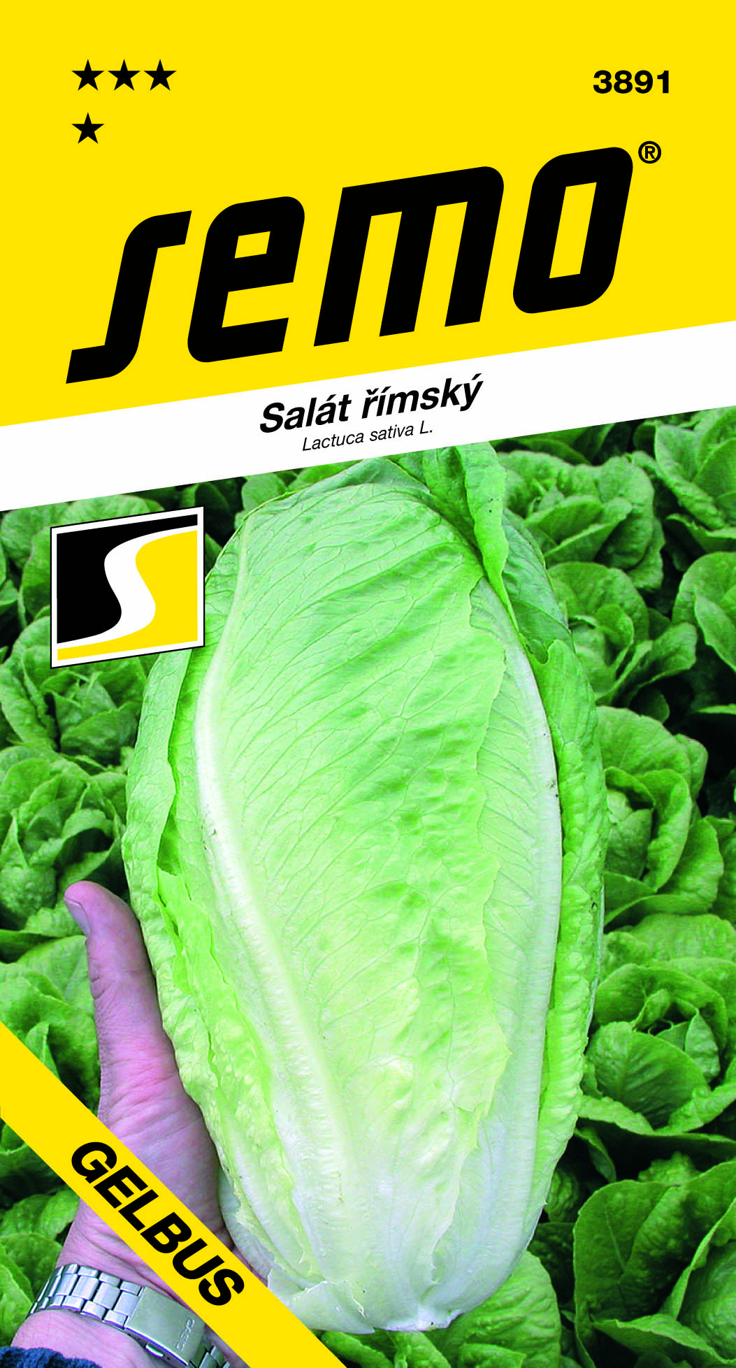 Šalát Gelbus rímsky SEMO 3891 – jednoročka
