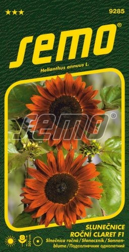 Slnečnica ročná Claret F1 SEMO 9285