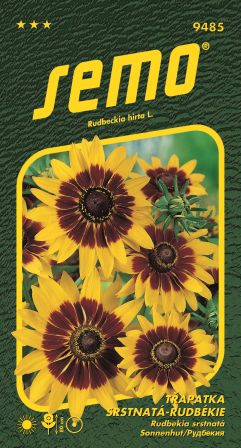 Rudbekia srstnatá Gloria D. SEMO 9485 – jednoročka