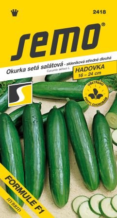 Uhorky sklen. Formule F1 šalát. SEMO 2418 – jednoročka