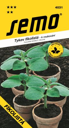 Tekvica Fíkolistá na vrúbľov. SEMO 4031 – jednoročka