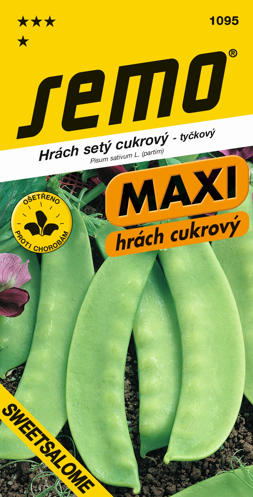 Hrach Sweet Salome cukrový SEMO 1095 – jednoročka