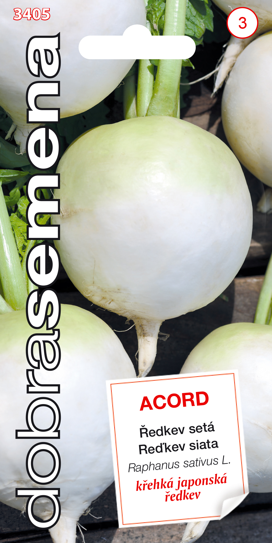 Reďkev Acord DS 3405 – jednoročka