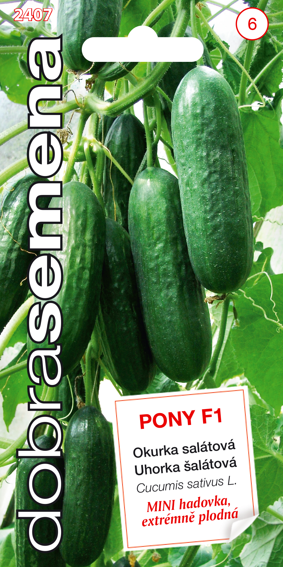 Uhorky šal. Pony F1 DS 2407 – jednoročka