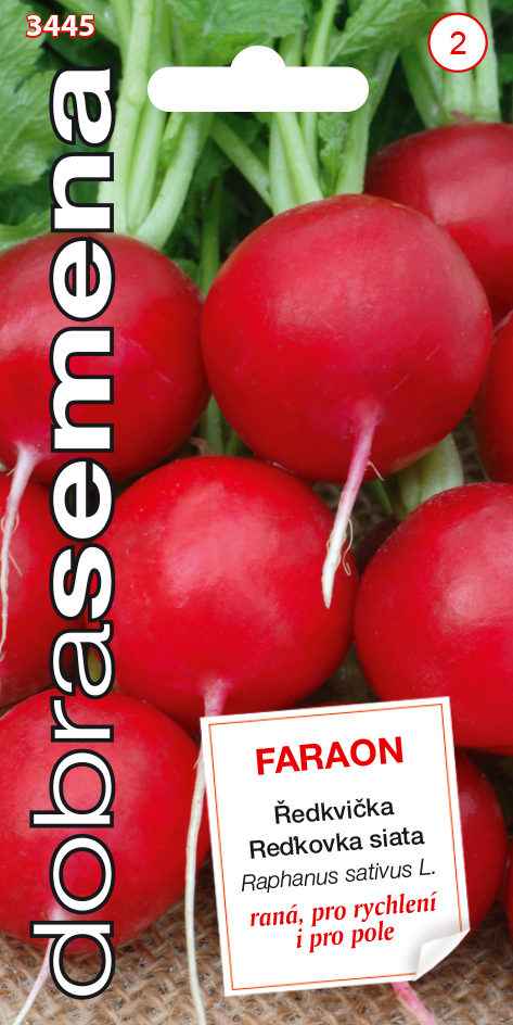 Reďkovka Faraon DS 3445 – jednoročka