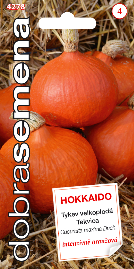 Tekvica Hokkaido orange veľkoplodá DS 4278 – jednoročka
