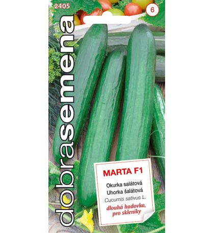 Uhorky šal. Marta F1 DS 2405 – jednoročka