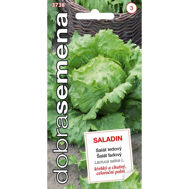 Šalát Saladin ľadový DS 3738  – jednoročka