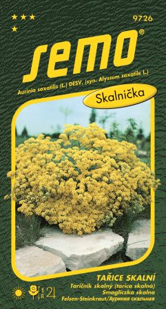 Tarica skalná Gold Cloud SEMO 9726 – jednoročka