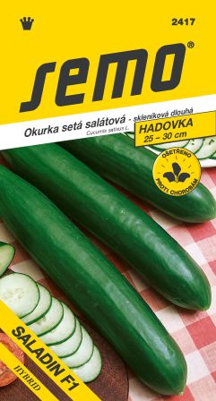 Uhorky sklen. Saladin F1 SEMO 2417 – jednoročka