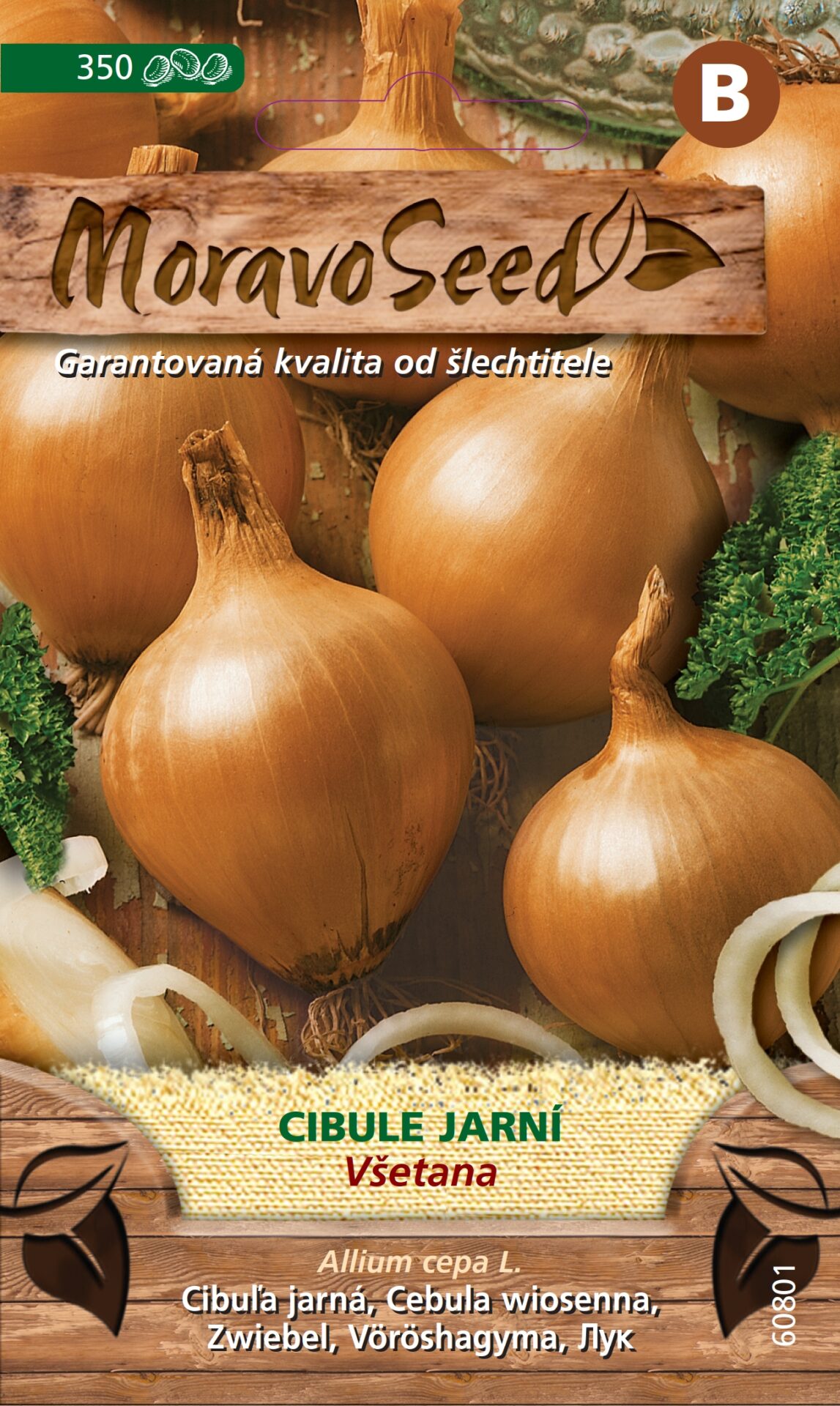 Cibuľa jarná žltá VŠETANA MS 60801