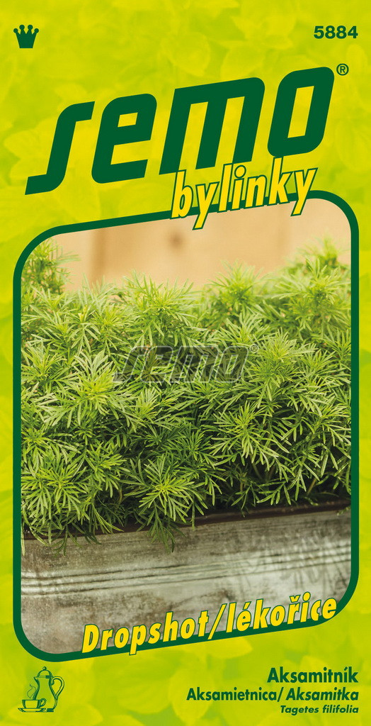 Aksamietnica dropshot SEMO 5884 – jednoročka