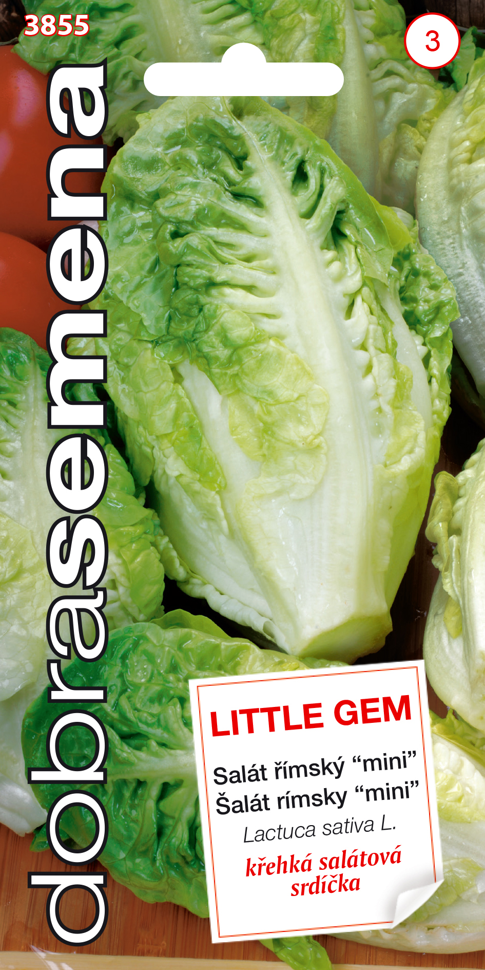 Šalát Little gem rímsky DS 3855 – jednoročka
